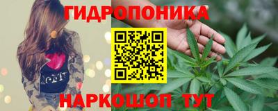 крисы Апрелевка