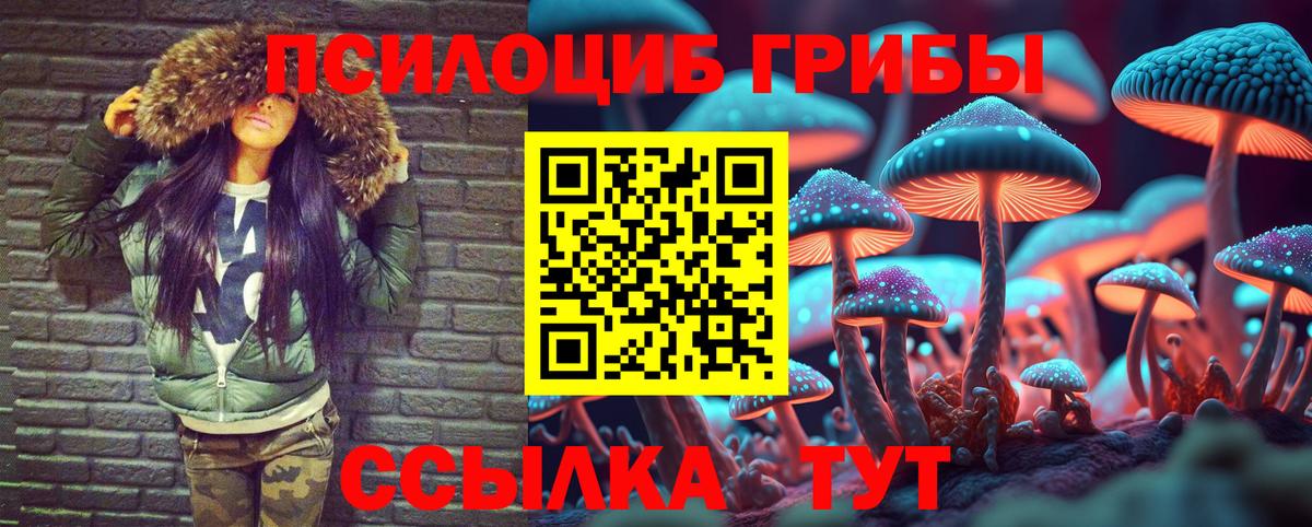 Волгодонск  Галлюциногенные грибы мухоморы  Вход с VPN  Галлюциногенные грибы Psilocybe 
